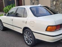 Toyota Camry 1994 Car
