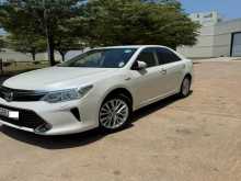 Toyota Camry 2016 Car