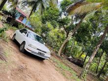 Toyota Camry 1994 Car