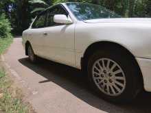 Toyota Camry 1991 Car