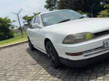https://riyasewana.com/uploads/toyota-camry-1991-2911034512102.jpg