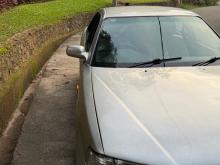 Toyota Camry 1996 Car