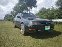 Toyota Camry CV30 Deisel 1991 Car