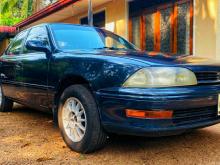 Toyota Camry Cv30 1991 Car