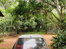 https://riyasewana.com/uploads/toyota-carina-1012384924821.jpg