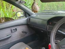 https://riyasewana.com/uploads/toyota-ce90-412493817794.jpg
