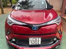 Toyota CHR 2018 Car