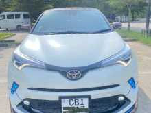Toyota CHR BRUNO 2019 SUV