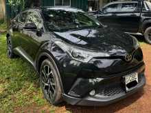 Toyota CHR DBA NGX50 Turbo 2017 SUV