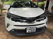 Toyota CHR NGX 10 2019 SUV