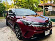 Toyota CHR NGX10 2019 SUV