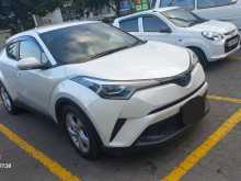 Toyota CHR NGX10 2019 SUV