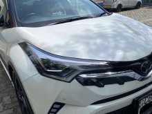Toyota CHR NGX 10 2019 SUV