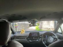 https://riyasewana.com/uploads/toyota-chr-ngx10-271930116263.jpg