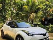 Toyota CHR NGX10 2019 SUV