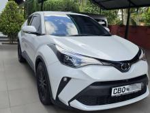Toyota CHR NGX 10 2023 SUV
