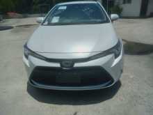 Toyota Corola 2023 Car