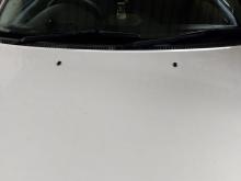https://riyasewana.com/uploads/toyota-corolla-110-1412501017896.jpg