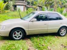 Toyota Corolla 110 2000 Car