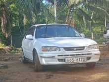 Toyota Corolla 110 2023 Car