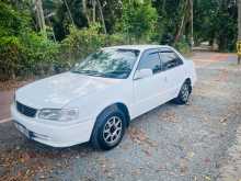 Toyota COROLLA 110 2000 Car
