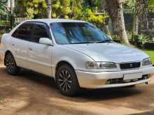 Toyota Corolla 110 Sprinter 2000 Car