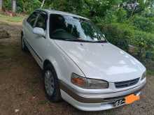 Toyota Corolla 110 1996 Car