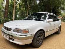 Toyota Corolla 1996 Car