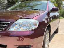 Toyota Corolla 121 2024 Car