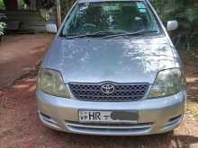 Toyota Corolla 121 2003 Car