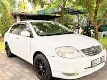 Toyota Corolla 121 2002 Car