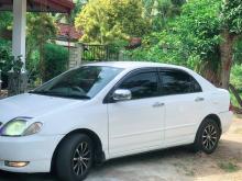 https://riyasewana.com/uploads/toyota-corolla-121-1416534317914.jpg