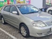 Toyota Corolla 121 2003 Car