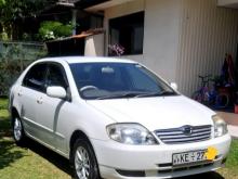 Toyota Corolla 121 X Limited 2002 Car