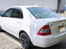 Toyota Corolla 121 2003 Car