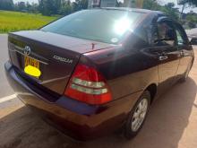 https://riyasewana.com/uploads/toyota-corolla-121-177482017446.jpg