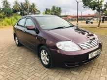 Toyota Corolla 121 2003 Car