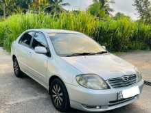 Toyota Corolla 121 2003 Car