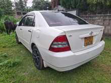 Toyota Corolla 121 2003 Car
