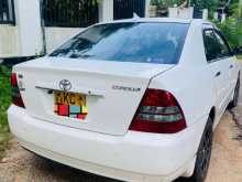 Toyota Corolla 121 2003 Car