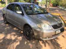 Toyota Corolla 121 2002 Car