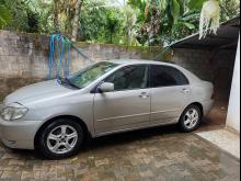 Toyota Corolla 121 2002 Car