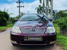 Toyota Corolla 121 2003 Car