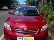 Toyota Corolla 141 2008 Car