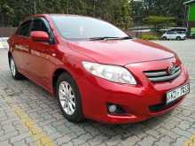 Toyota Corolla 141 2008 Car