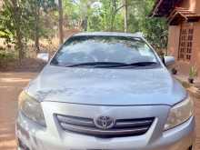 Toyota Corolla 141 2008 Car