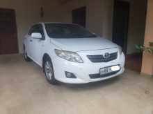 Toyota Corolla 141 2008 Car