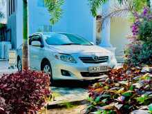 Toyota Corolla 141 2008 Car