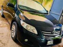 Toyota Corolla 141 2008 Car