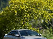 Toyota Corolla 141 2008 Car